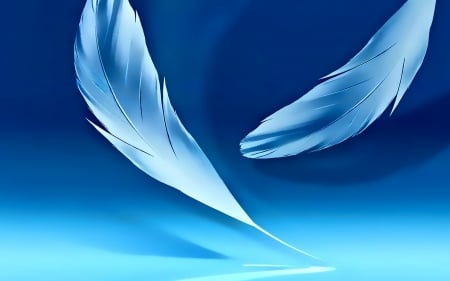 Feathers - feather, white, texture, couple, vector, blue