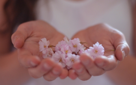 For You! - white, flower, spring, hand, girl