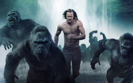 The Legend of Tarzan (2016) - the legend of tarzan, actor, movie, Alexander Skarsgard, man, gorilla, moneky