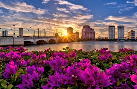 Sun Rays over the River - River, Sun, Flowers, Meadow