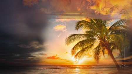 Island Sunset - sky, beach, sunset, palm, island, tree, sea, sunrise, firefox persona theme