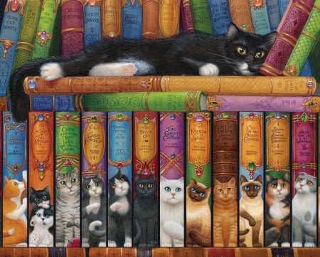 Book of Cats - library, cat, colorful, black, pisica, book, white, art, luminos, cats, orange, books, shelve