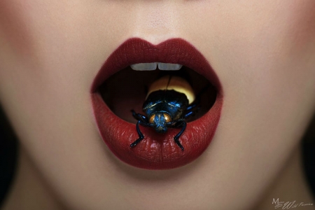 Mouth and bug - mouth, yellow, bug, marc lamey, black, lips, red, woman, lipstick