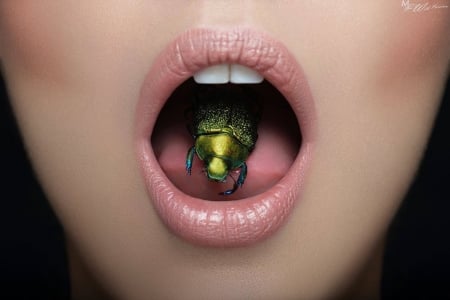 Mouth and bug - mouth, lips, woman, green, marc lamey, bug, pink, lipstick