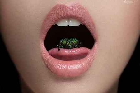 Mouth and bug - marc lamey, mouth, pink, bug, lips, lipstick, woman, green