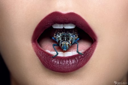 Mouth and bug - mouth, lips, woman, red, marc lamey, bug, lipstick