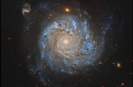 NGC 1309: Spiral Galaxy and Friends - space, fun, galaxies, stars, cool