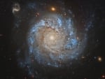 NGC 1309: Spiral Galaxy and Friends