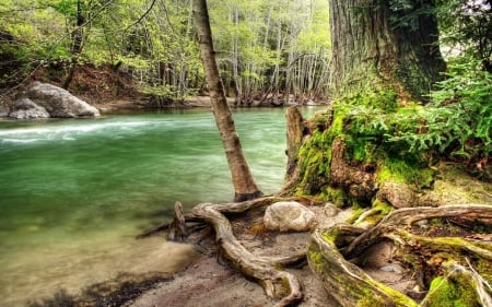 fast river - river, grass, forest, tree