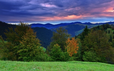 forest mountains - nature, fun, cool, forest, sunset, mountains