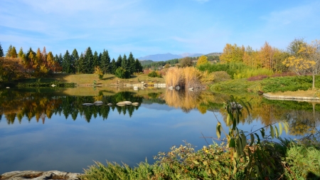 lake in a forest - lake, forest, cool, fun, nature