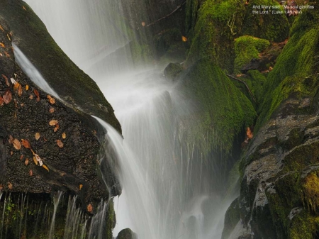 Breathtaking Waterfall - greenery, leaves, scripture, waterfall, rocks