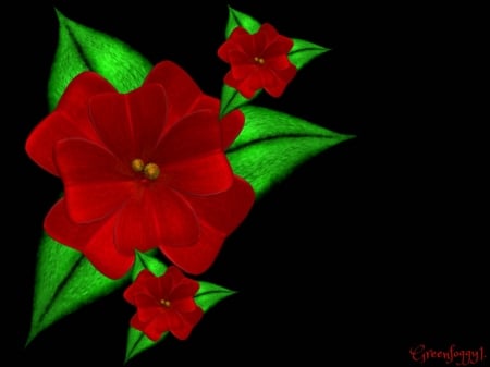 ON BLACK - flowers, red, background, black