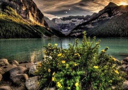 Mountain Lake - Mountain, Lake, Nature, Flowers