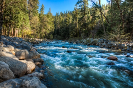 Sierras Near Kyburz, El Dorado County, California