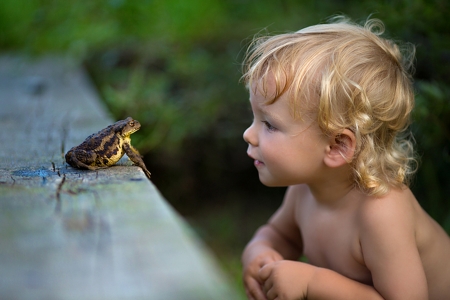 Hello my friend - pretty, boy, frog, funny