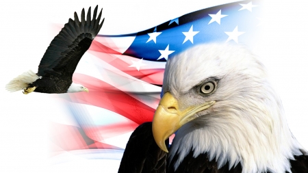 Patriotic USA - Indpendence Day, 4th of July, USA, collage, Veterans Day, American eagle, patriotic, Memorial Day, bald eagles, United States of America, Fireafox Persona theme, flag