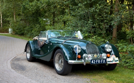 morgan plus 8 - forest, morgan, car, plus