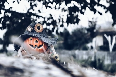 Happy Halloween! - white, black, halloween, hant, orange, pumpkin