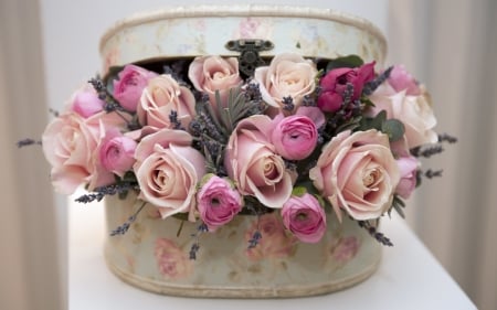 Roses - white, flower, rose, pink, suitcase, bouquet, trandafir