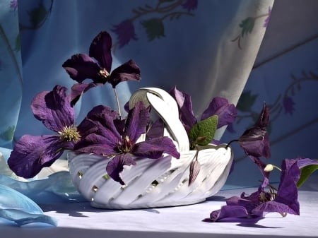 Still Life - Photo, pretty, Still Life, Flowers