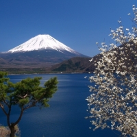 Fuji Scenery