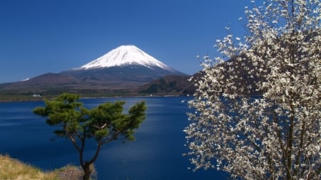 Fuji Scenery - nature, lake, japan, mountain, fuji, scenery, japanese, spring