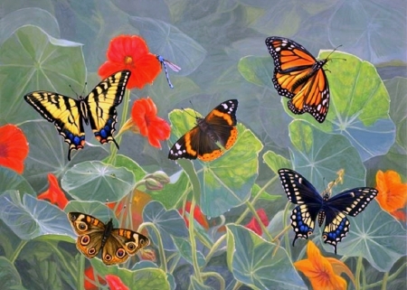 Butterfly Party