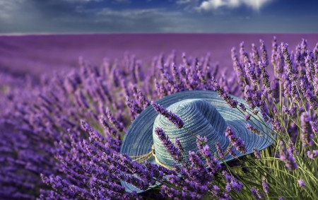 Hat in Lavender Field