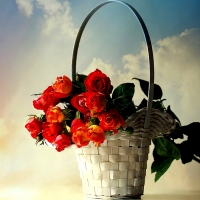 Roses in a Basket