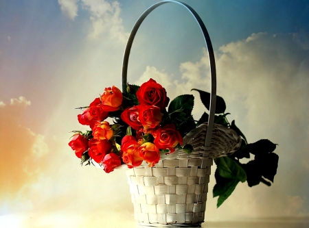 Roses in a Basket - pretty, Basket, Flowers, Roses