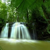 noosa hinterland