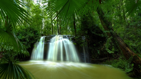 noosa hinterland - hinterland, noosa, australia, rainforest, waterfall