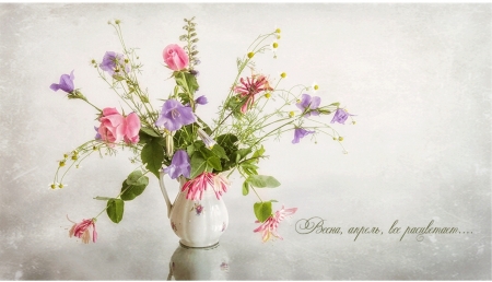 â™¥ - flowers, still life, soft, vase