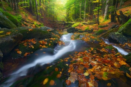 ♥ - river, greenery, trees, nature