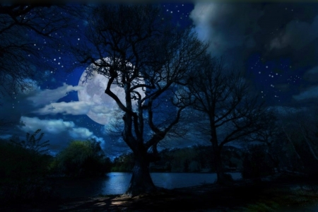 NIGHT - moon, sky, lake, stars, trees, clouds, night