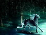 Magical horse