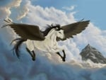 Pegasus