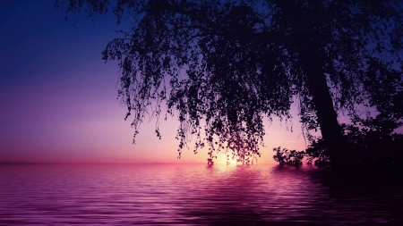 Sunset - lake, sunset, nature, tree