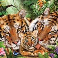 Tiger Family