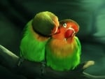 love birds