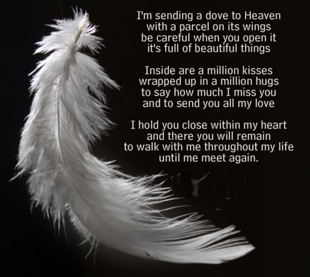 R.I.P. - heaven, black, white, feather