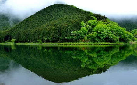 Mountain Covered by Forest - trees, nature, lake, forest, reflection, mountain