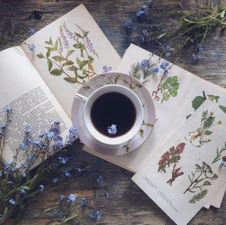 ♥ - abstract, cup, book, soft