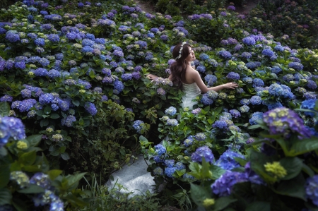 Bride - woman, girl, hydrangea, bride, asian, model, white, blue, green, dress