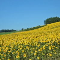 hokkaido japan