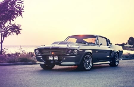 Ford Mustang GT500 - ford, gt500, mustang, car