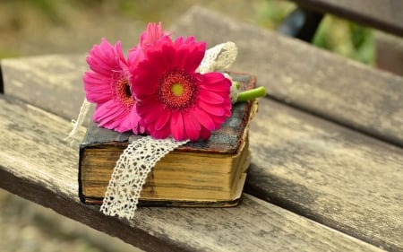 OLD BOOK WITH GERBERA FLOWERS