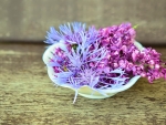 LILACS IN BOWL