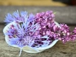 LILAC FLOWERS IN A BOWL